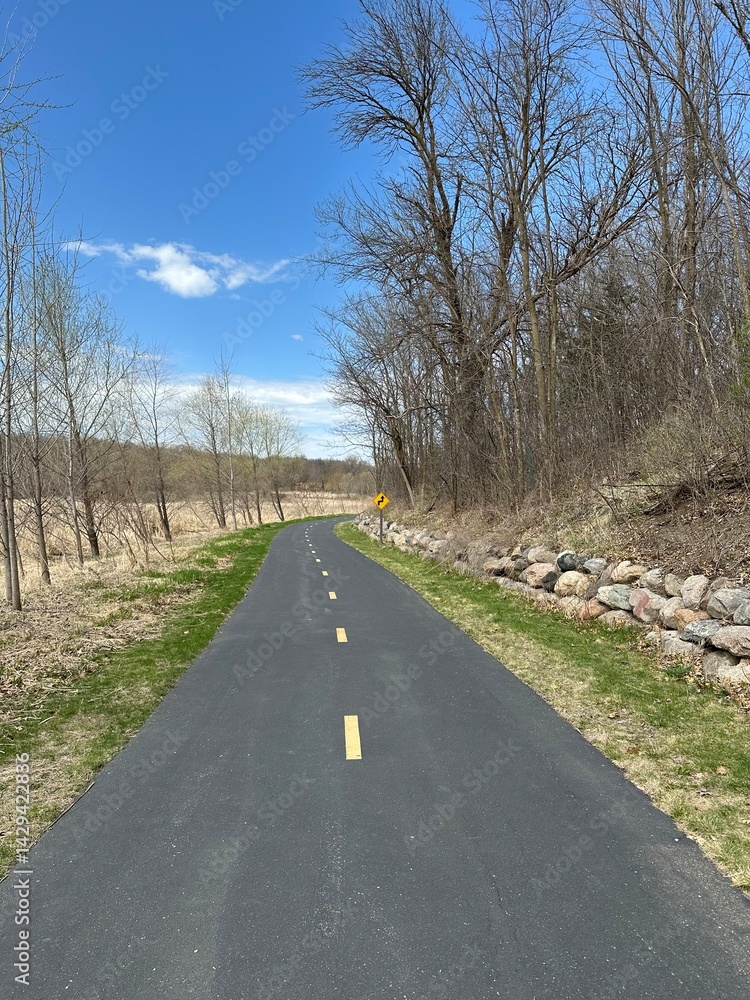 Fototapeta premium park pathway