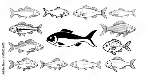 Vector silhouettes of various fish designs in black and white for educational purposes