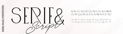 Elegant Serif Font Modern Script Typeface, Alphabet Pair for Wedding Letters. Fashion Branding, Luxury Calligraphy, Signature Logo, Stylish Invitation. Feminine Design. Vector illustration