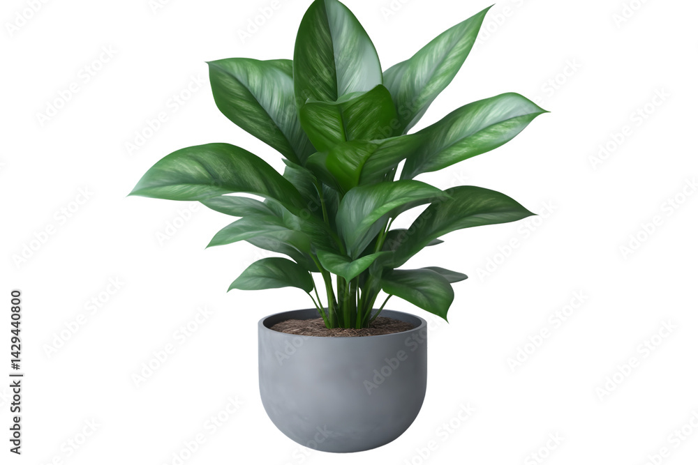 A lush green leafy plant in a modern pot perfect for home decor and interior design projects A lush green leafy plant in a modern pot perfect for home decor and interior design projects