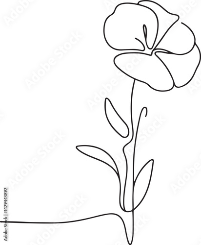 Sweet Pea flower line drawing on white background