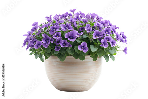 Wallpaper Mural A vibrant potted plant with lush purple flowers and green foliage perfect for home decor or ga Torontodigital.ca