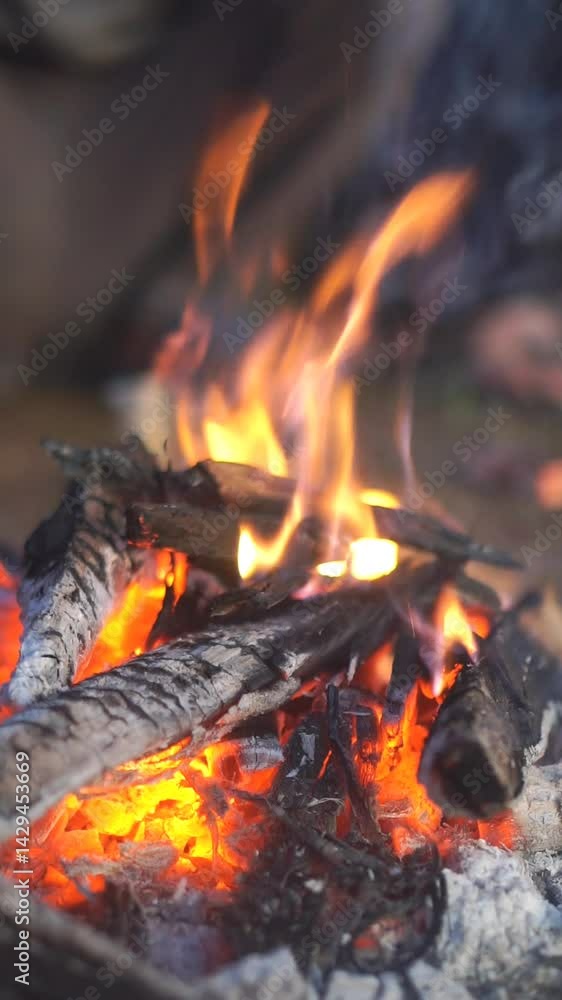 smoldering bonfire burning firewood smoldering bonfire burning firewood
