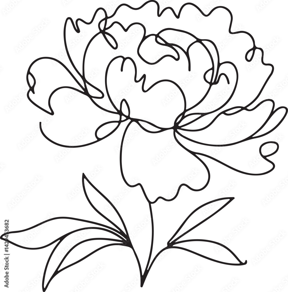 Obraz premium Peony flower line drawing on white background