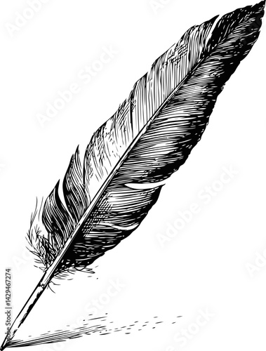 Detailed black and white illustration of a quill pen with intricate lines. Vector illustration