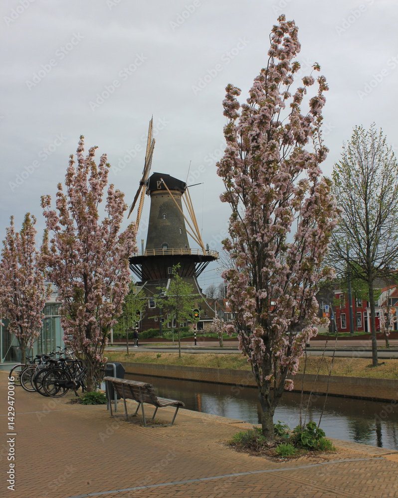 Images from this beautiful country Netherlands