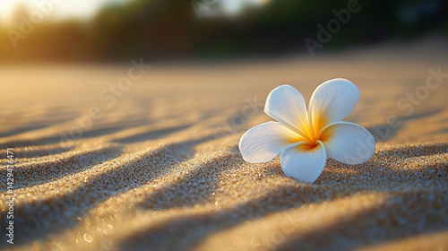Obraz na płótnie A delicate white flower rests on smooth neutral sand marked by a gentle circular pattern symbolizing peace balance renewal and the harmony between nature and mindfulness in a calm setting
w salonie