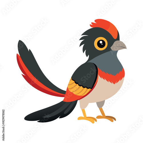 Tailed Trogon Bird  Vector on White Background