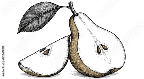 Pear Halved and Sliced Background in Vintage Style  