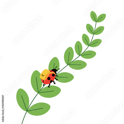 Ladybug crawling on green leaf branch vector illustration nature insect design 
