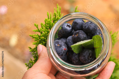 Porción de arándanos para el día a día 