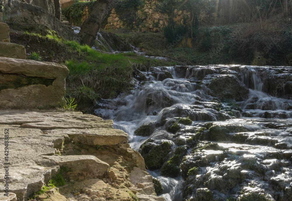 Obraz premium Serene Waterfall in a Lush Forest