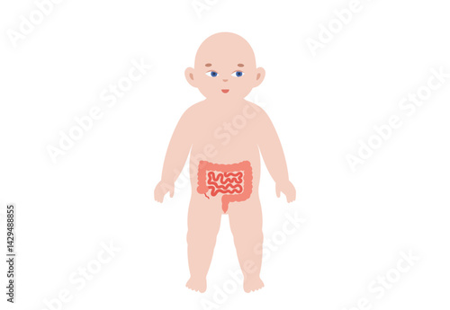 Intestines diseases in a child