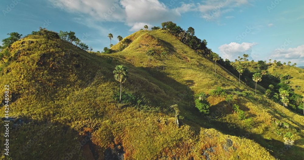 Lush green hills rolling under a cloudy sky, bathed in the warm glow of golden sunlight, create a serene and picturesque landscape filled with natural beauty and tranquility