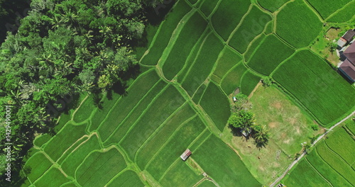 Obraz na płótnie Scenic aerial view vibrant green rice terraces and traditional Balinese houses, highlighting the island's beauty and cultural heritage. Cultural Balinese landscape drone agriculture tourism texture w salonie