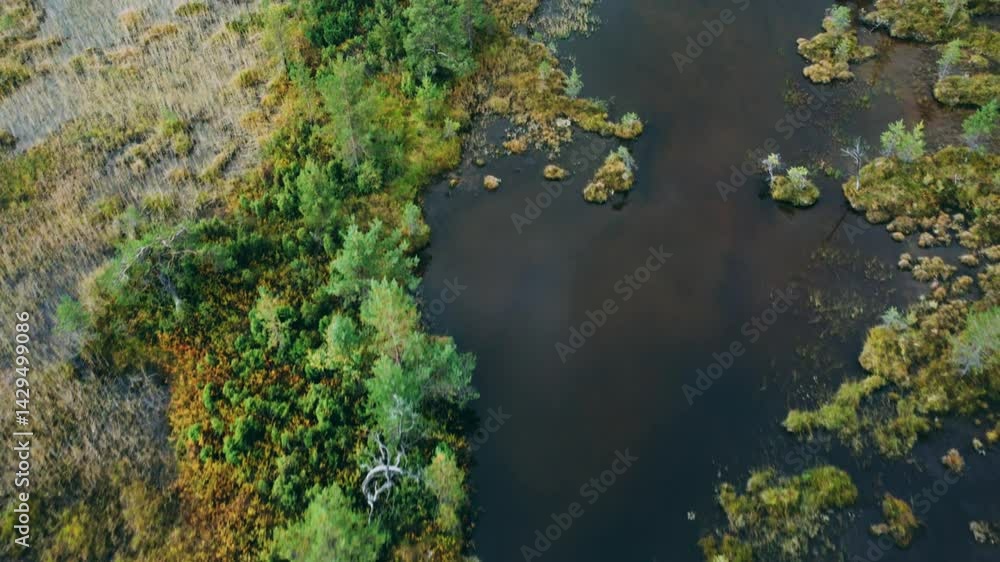 The marshes of Karelia. Bird's-eye view of a natural swamp from above, against the background of wild nature, Russia. Peat bog in autumn. Bird's-eye view of the forest river flowing through the swamp The marshes of Karelia. Bird's-eye view of a natural swamp from above, against the background of wild nature, Russia. Peat bog in autumn. Bird's-eye view of the forest river flowing through the swamp