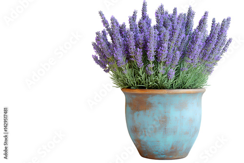 Lavender flowers in a rustic pot home decor purple blooms