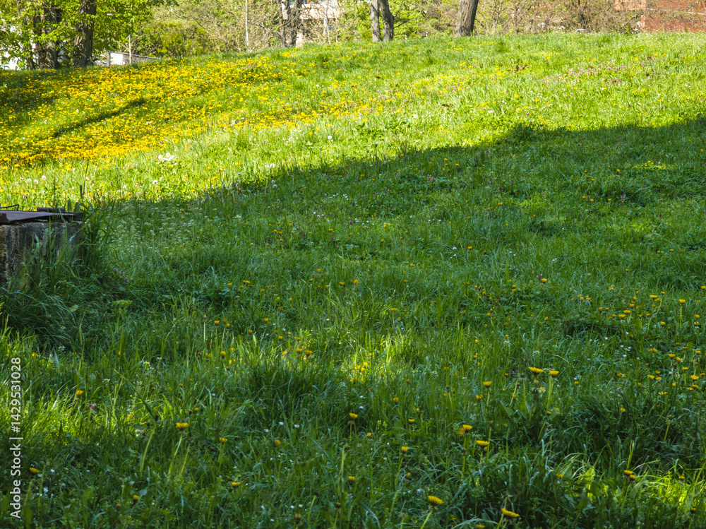 Panorama of South Park in city of Sofia, Bulgaria