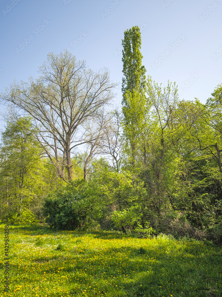 Panorama of South Park in city of Sofia, Bulgaria