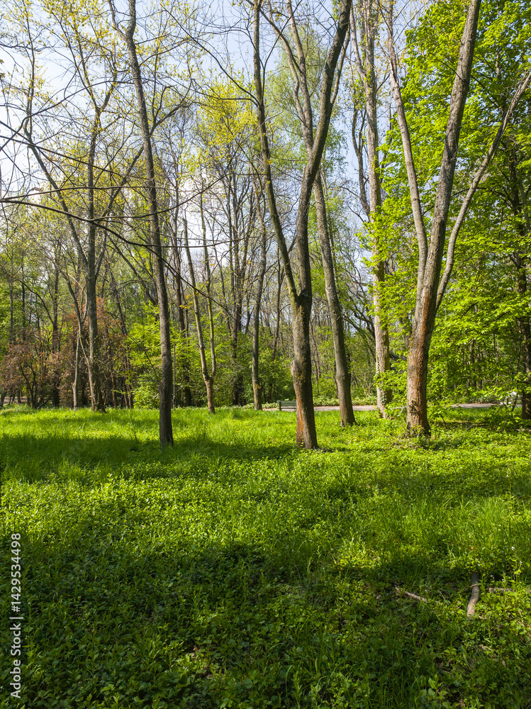 Panorama of South Park in city of Sofia, Bulgaria