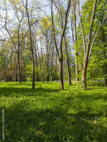 Obraz na płótnie Panorama of South Park in city of Sofia, Bulgaria w salonie