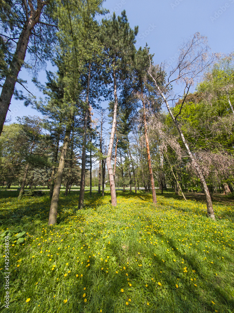 Panorama of South Park in city of Sofia, Bulgaria