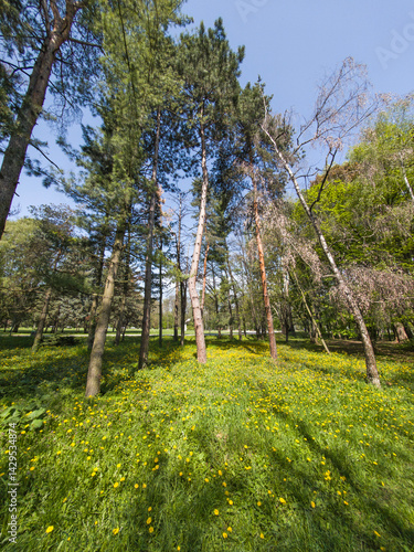 Panorama of South Park in city of Sofia, Bulgaria