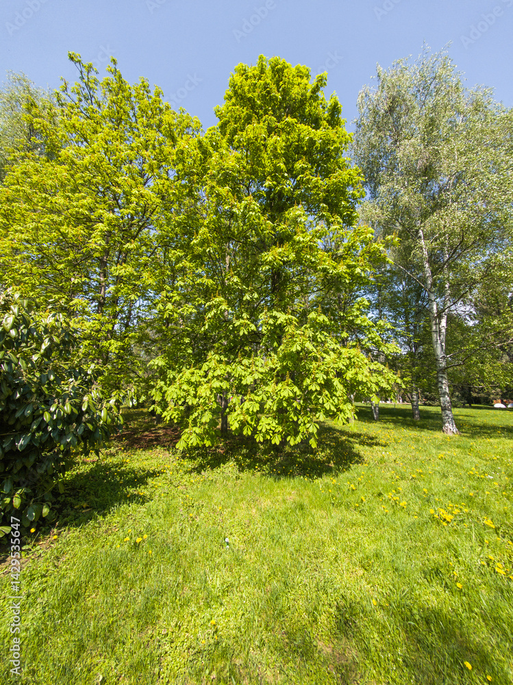 Panorama of South Park in city of Sofia, Bulgaria