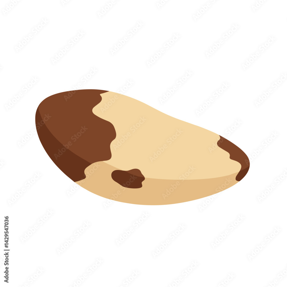 Obraz premium Brazil Nut Vector Icon. Vibrant illustration, transparent background. Superfood, healthy food. Packaging, labels, blogs