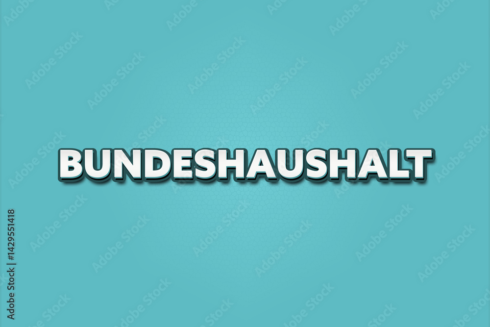 Bundeshaushalt (Federal budget) - A turquoise banner illustration with white text. Bundeshaushalt (Federal budget) - A turquoise banner illustration with white text.