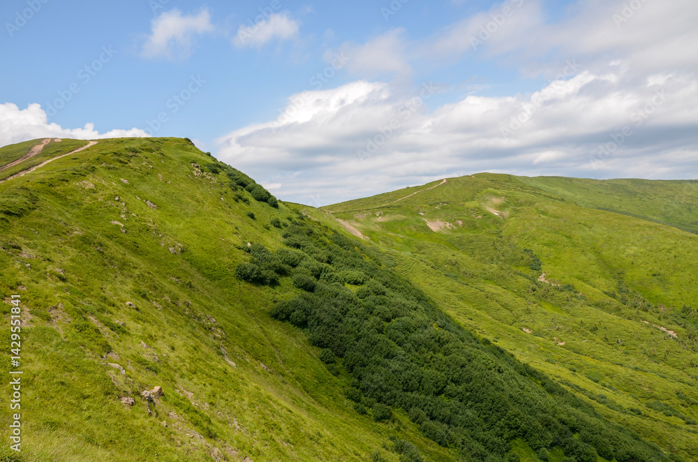 Fototapeta premium View of green hills and valleys covered in vegetation, under a partly cloudy sky. The scene conveys a sense of tranquility, natural beauty. Carpathian Mountains, Ukraine