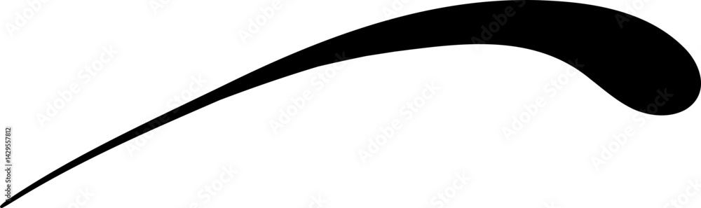Unique Hand Drawn Swoosh Flourish Unique Hand Drawn Swoosh Flourish