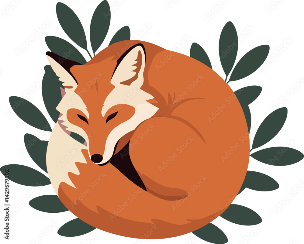 Fototapeta premium Sleeping fox curled up surrounded by green leaves natural wildlife vector illustration 