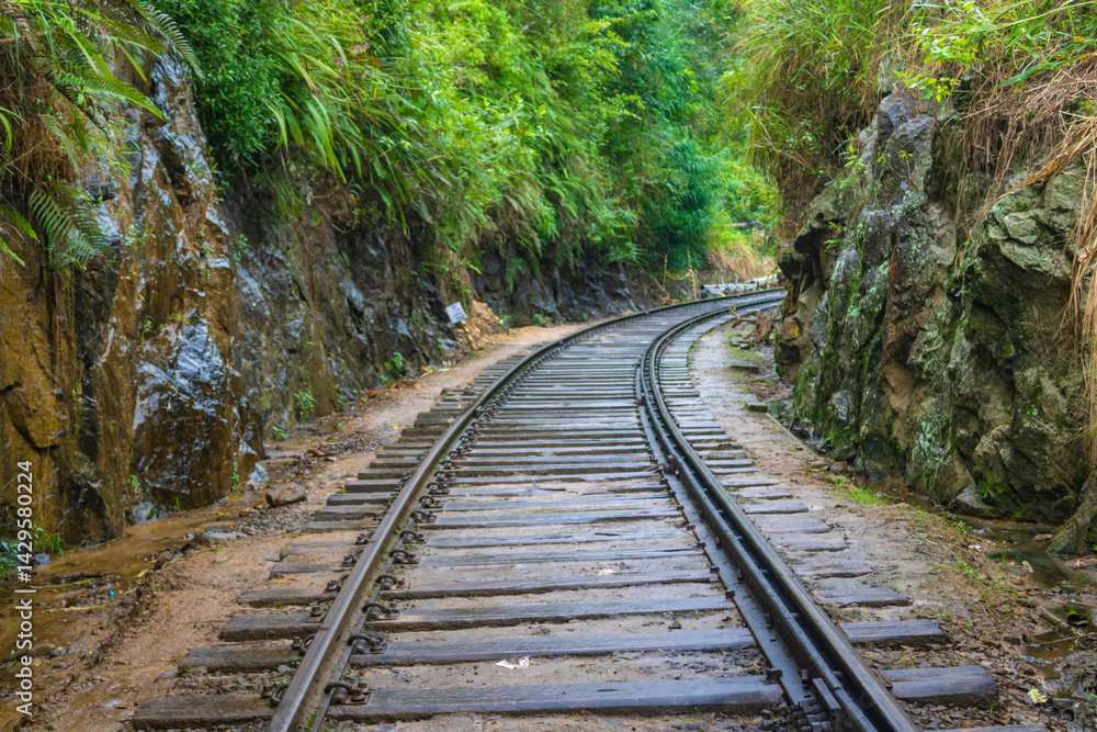 Fototapeta premium Close up of railway tracks, the way to Nine Arches Bridge, Ella, Sri Lanka