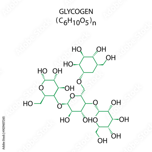 Glycogen molecule icon. Chemical C6H10O5 formula. Vector structural diagram. Glucose chain compound.