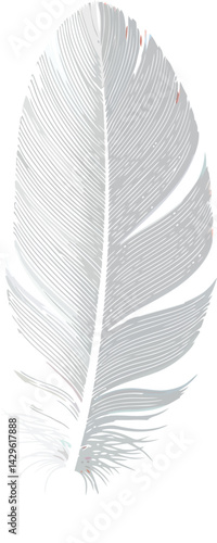 Single white feather detailed vector illustration on white background natural design element 