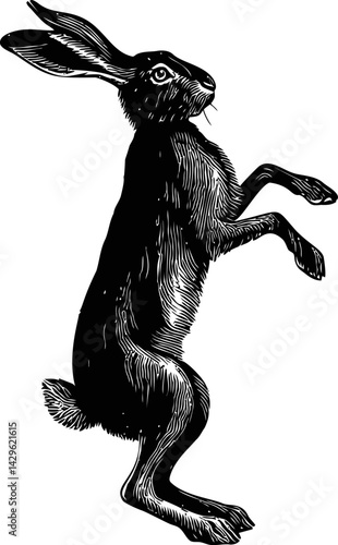 Black and white engraving of a rabbit standing on hind legs, vintage art style. Vector illustration