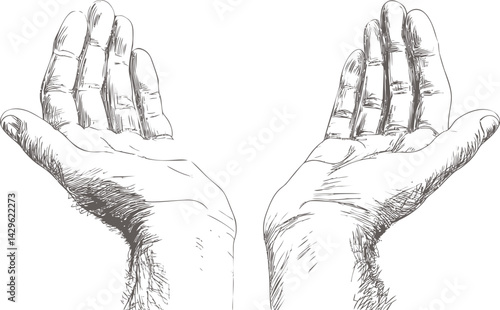 Realistic sketch of two open hands with detailed linework, concept of giving. Vector illustration