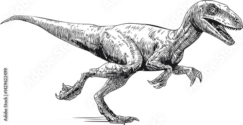 Black and white sketch of a velociraptor in dynamic motion, detailed illustration. Vector illustration