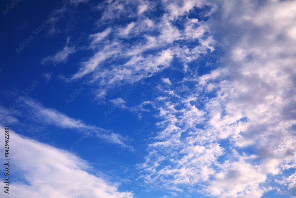 Obraz premium 青空と白い雲