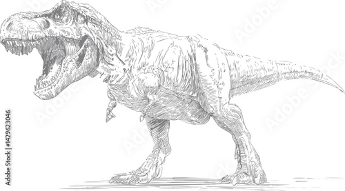 Detailed sketch of a roaring tyrannosaurus rex in black and white illustration. Vector illustration
