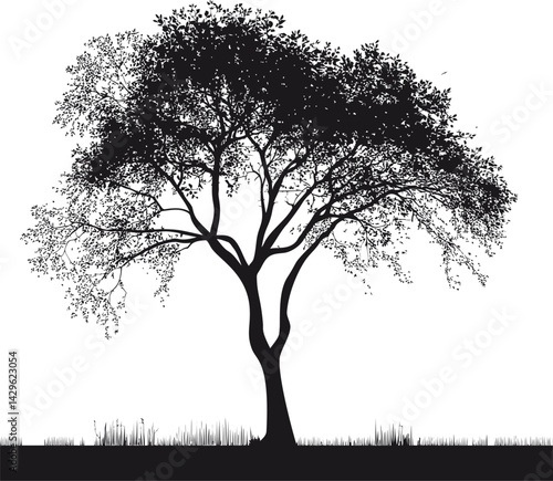 Silhouette of a solitary tree with detailed branches and leaves under clear sky. Vector illustration