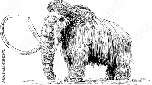 Detailed black and white illustration of a woolly mammoth in profile view. Vector illustration