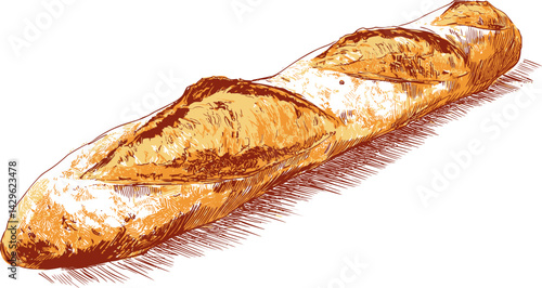 Illustration of a classic French baguette with golden crust detail. Vector illustration