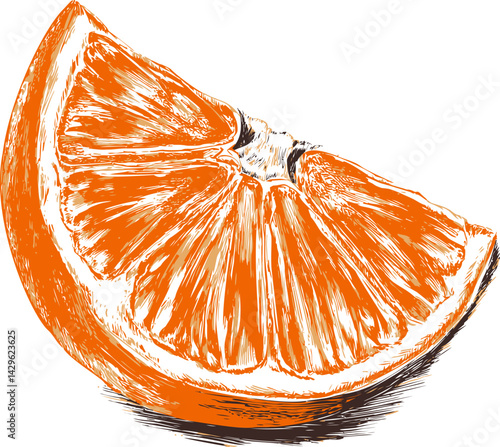 Illustration of a juicy orange slice with textured details. Vector illustration