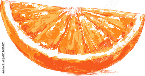 Illustration of a vibrant orange slice with detailed texture, bright colors. Vector illustration