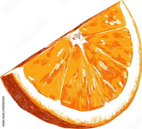 Illustration of an orange slice with vibrant colors and detailed textures. Vector illustration