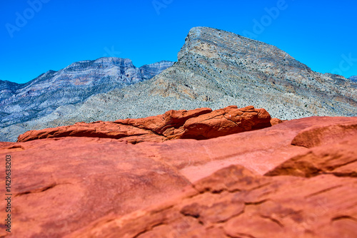 Obraz na płótnie Red Rock Canyon Sandstone and Mountain Range Eye-Level View w salonie