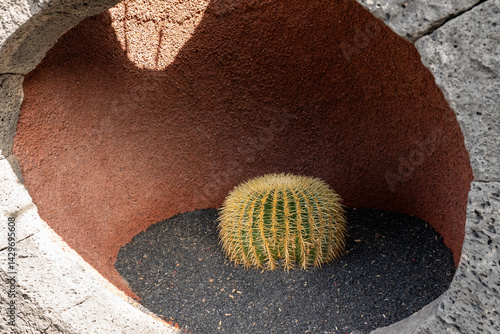 Obraz na płótnie Cactus in the Cactus Garden created by Manrique, on the tourist island of Lanzarote in Spain in October 2024 in Spain w salonie