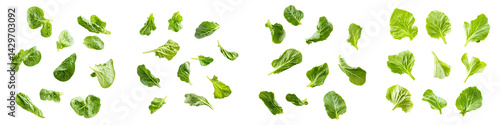 Collard green leaves floating in the air isolated on transparent background